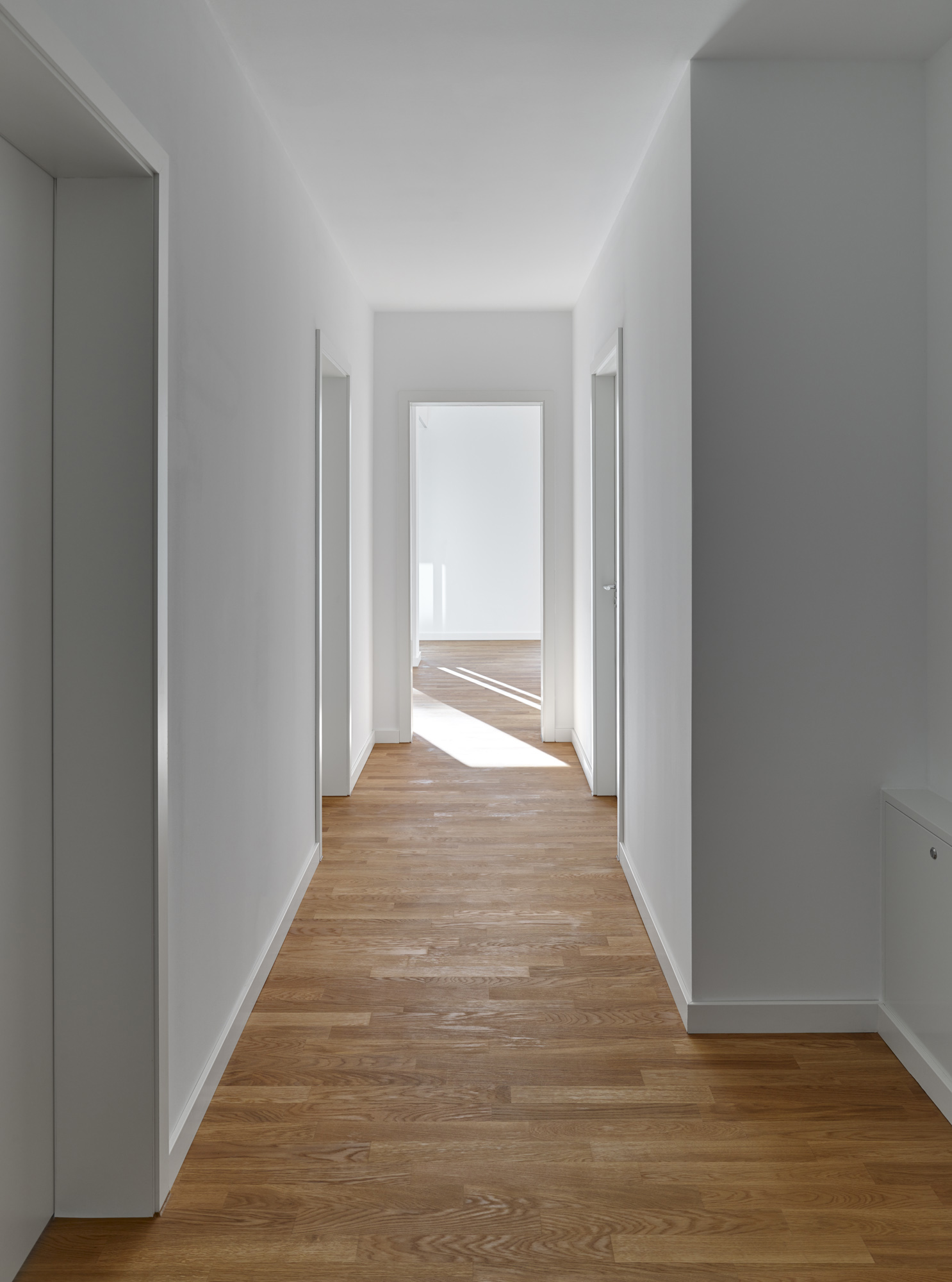 Gertrud-Feiertag-Straße, Potsdam;  Foto: Stefan Müller