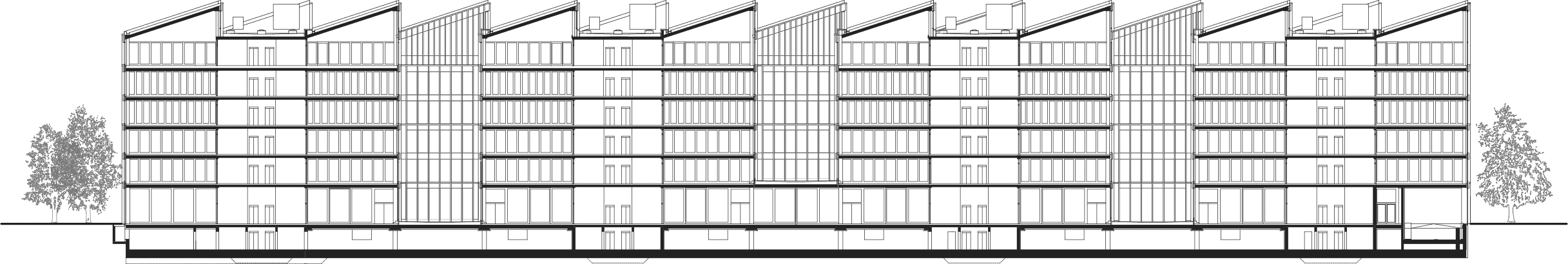 SHED CAMPUS BERLIN - Längsschnitt Warehouse