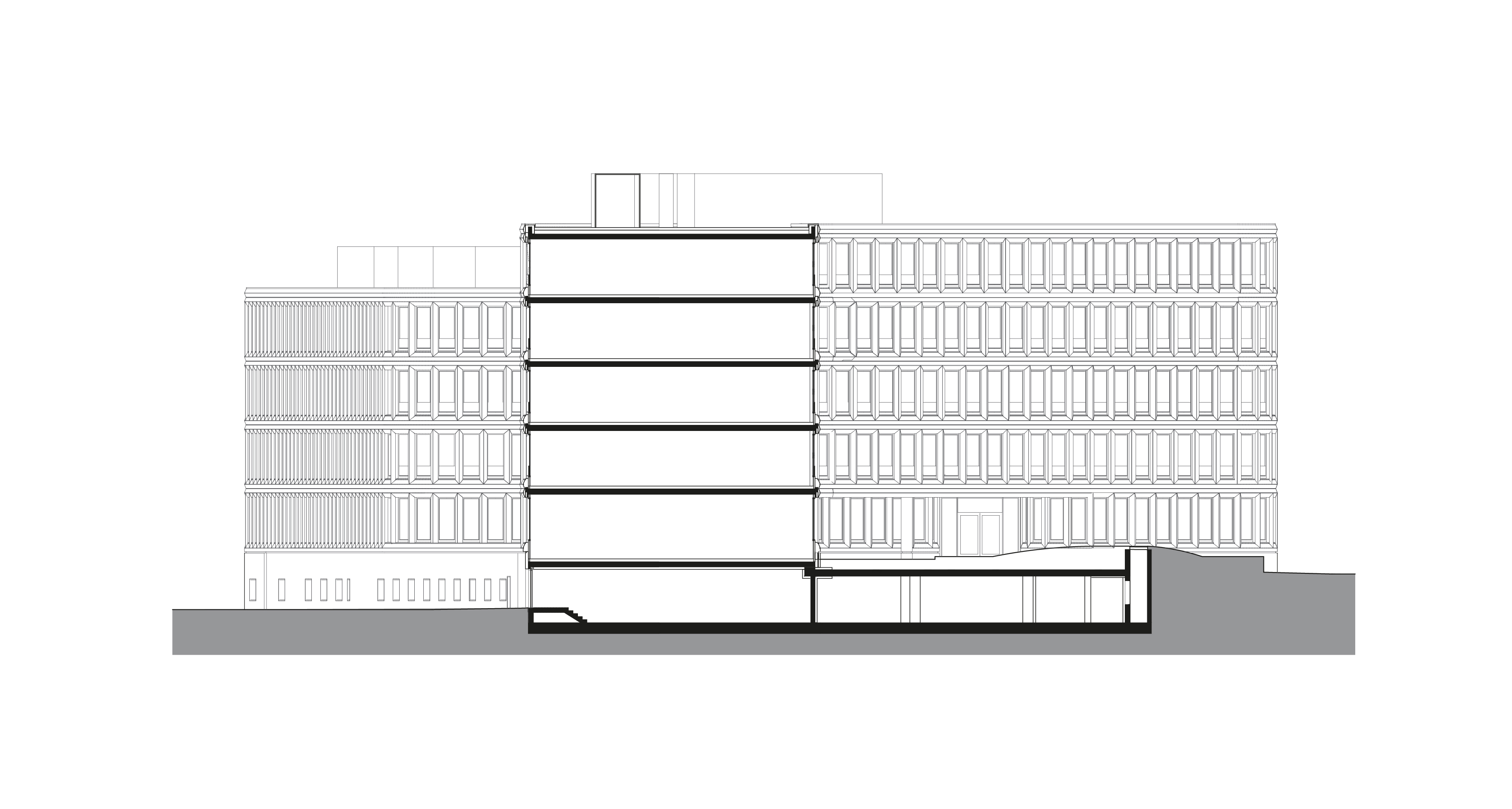 Brain Box Berlin - Bürocampus Eisenhutweg in Berlin Adlershof; Querschnitt