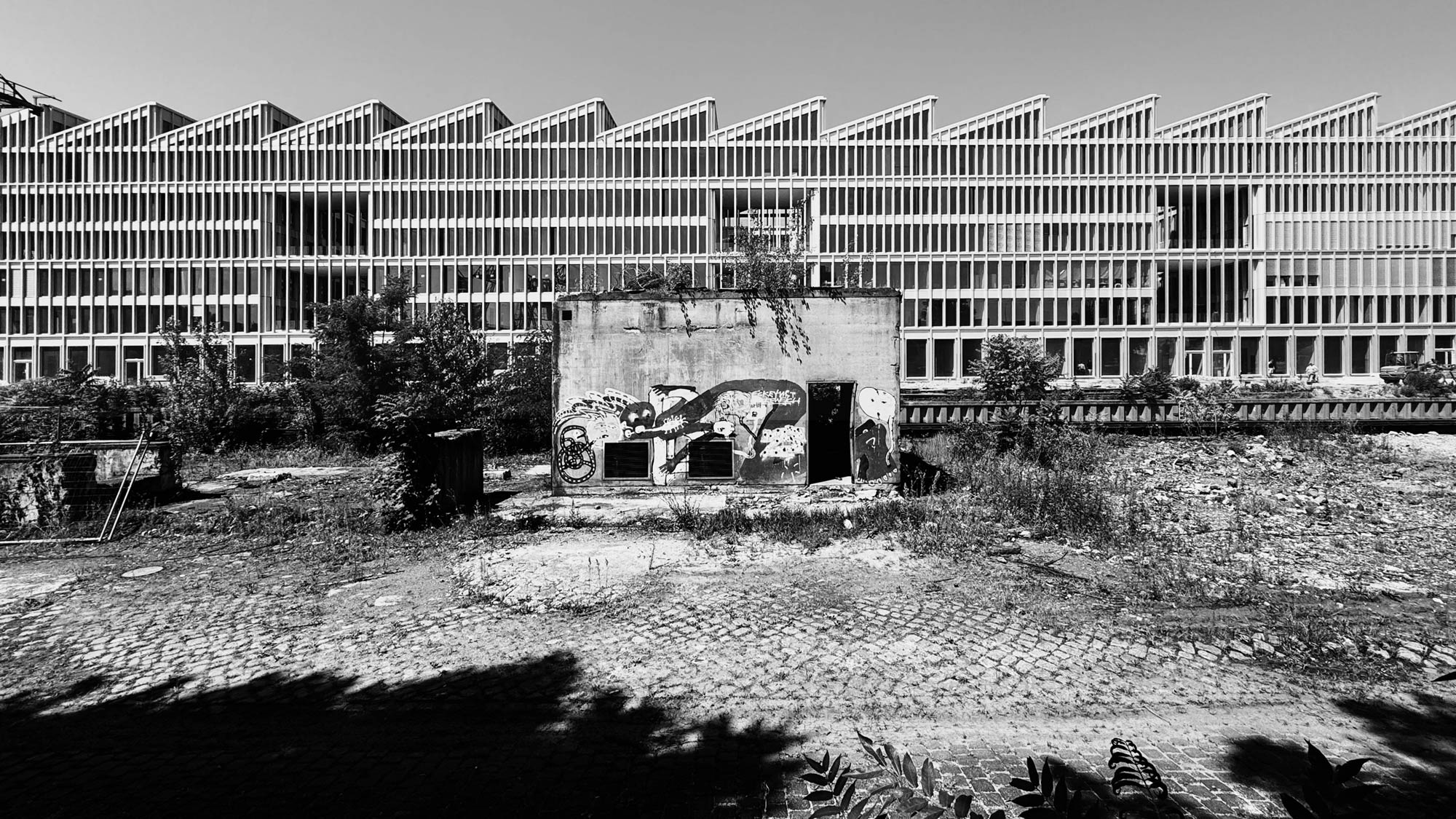 SHED CAMPUS BERLIN - Ansicht Warehouse